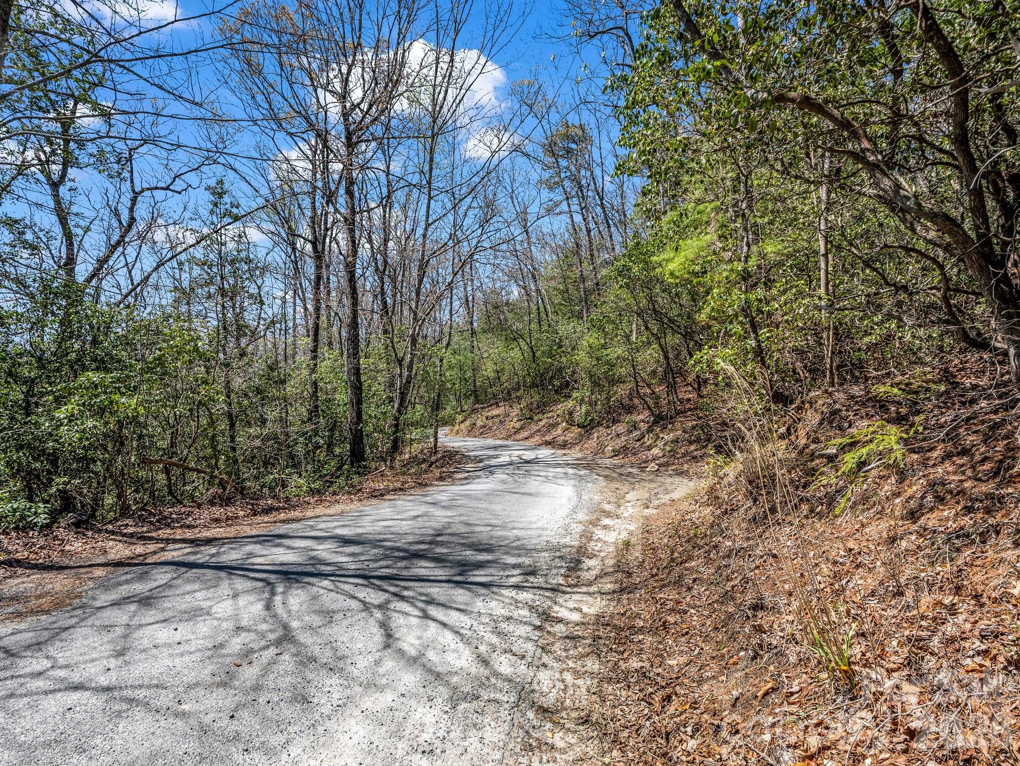 999 Bulling Creek Road Penrose, NC 28766 - Photo 7 of 37