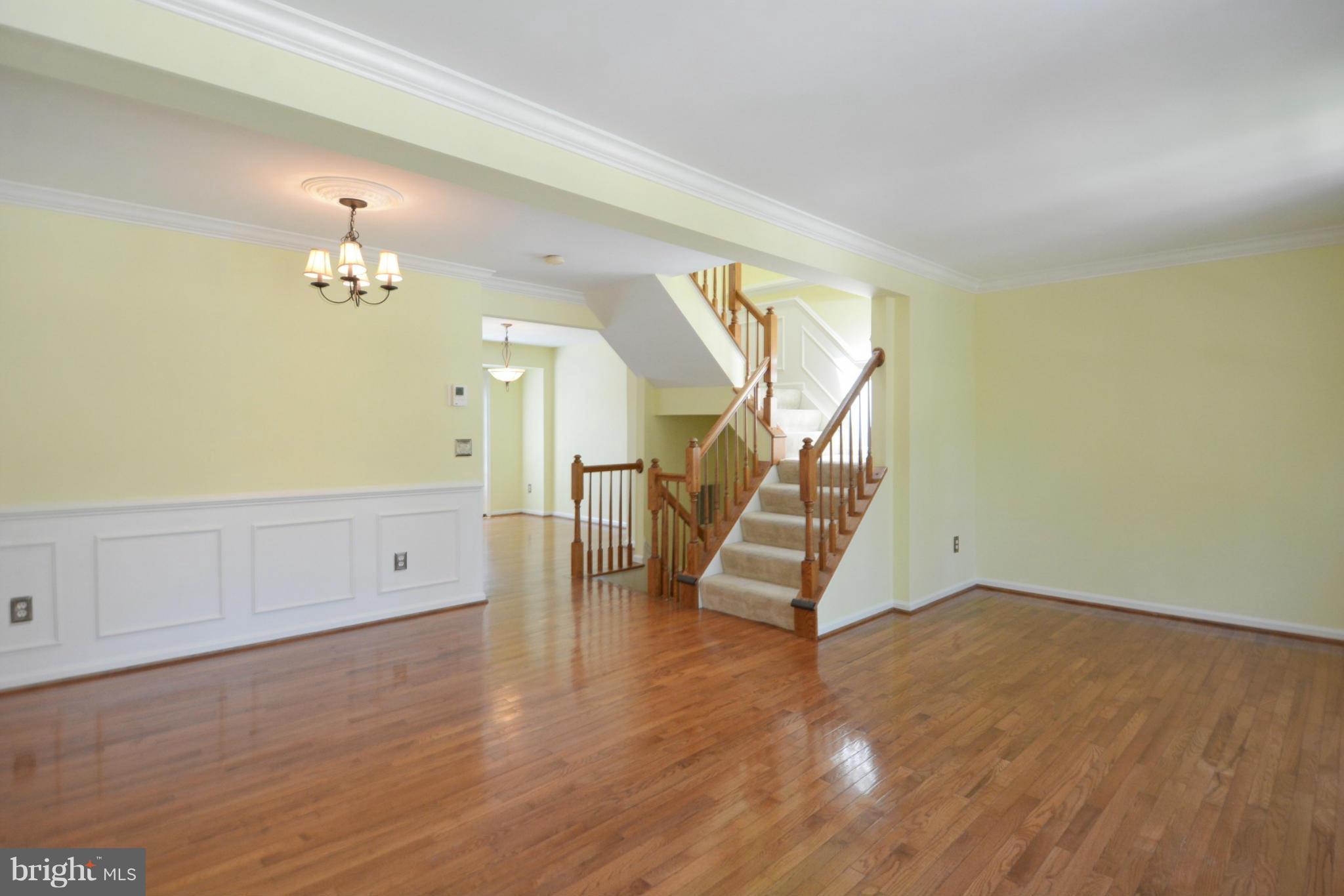 918 Rolfe Place Alexandria, VA 22314 - Photo 3 of 30 Living Room