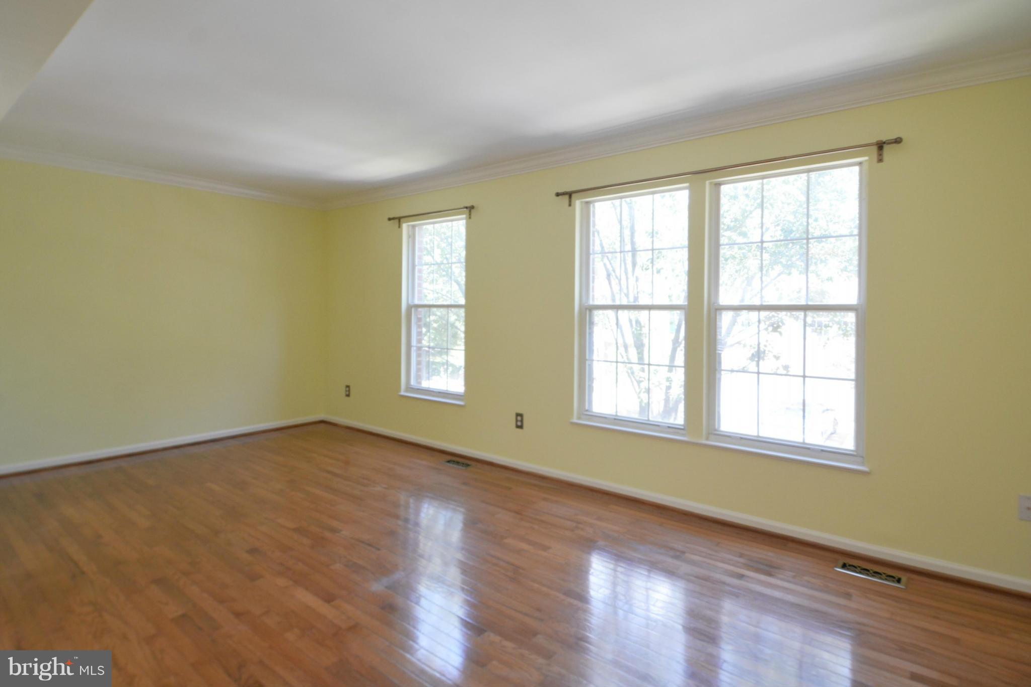 918 Rolfe Place Alexandria, VA 22314 - Photo 5 of 30 Living Room