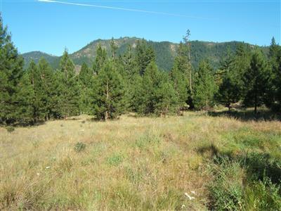 7962 Upper Applegate Road Jacksonville, OR 97530 - Photo 7 of 10 Additional Photo