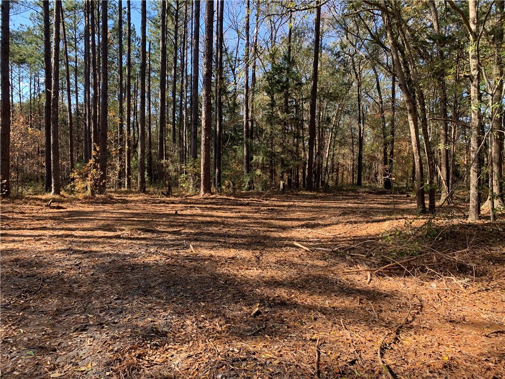 2876 Horseshoe Road Iva, SC 29655 - Photo 13 of 23