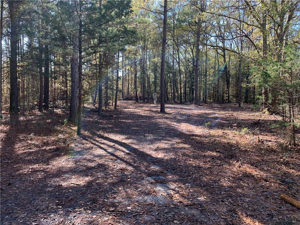 2876 Horseshoe Road Iva, SC 29655 - Photo 3 of 23