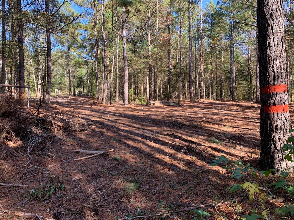 2876 Horseshoe Road Iva, SC 29655 - Photo 8 of 23