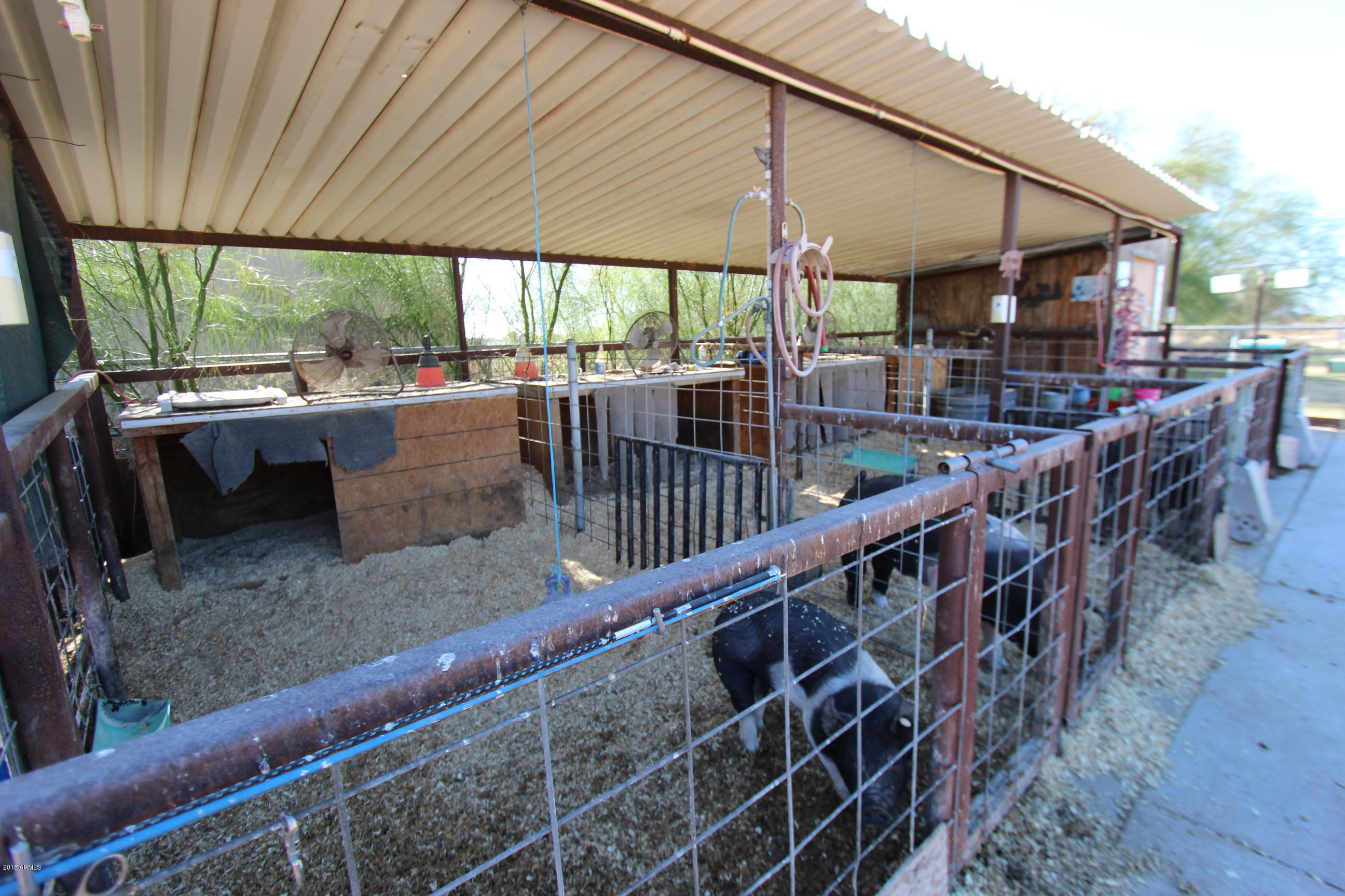 2037 East Willis Road Gilbert, AZ 85297 - Photo 42 of 51 Pig setup