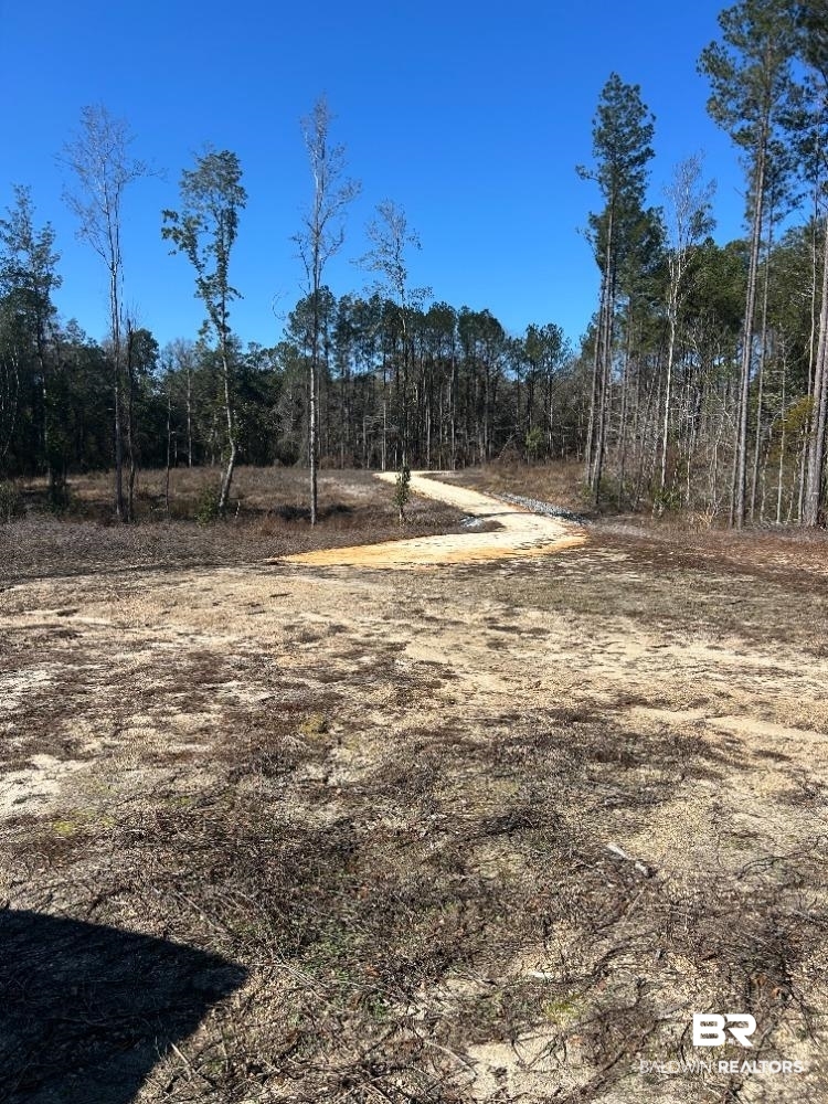 0 Kirkland Road Brewton, AL 36426 - Photo 10 of 10 View of yard