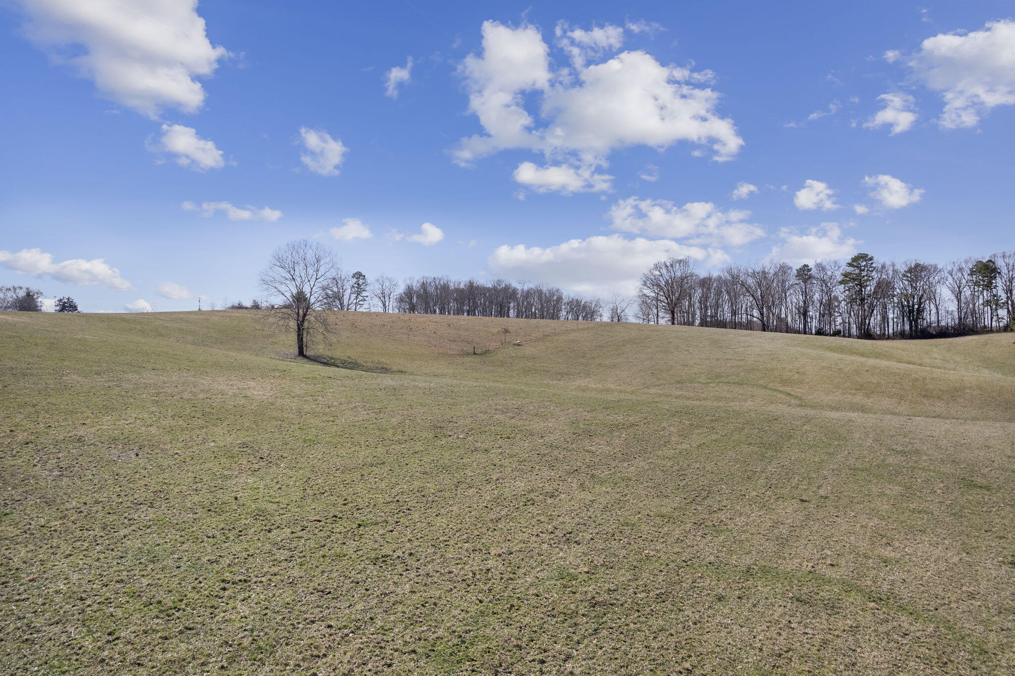 0 Pates Hill Road, Unit 6 Mosheim, TN 37818 - Photo 13 of 15 Pates Hill Rd