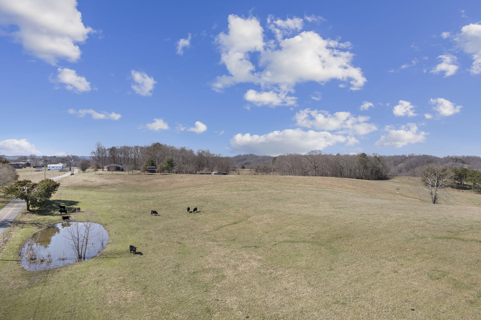 0 Pates Hill Road, Unit 6 Mosheim, TN 37818 - Photo 2 of 15 Pates Hill Rd