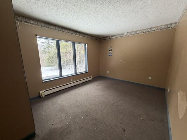 29 Brookside Way Lewis, NY 12950 - Photo 22 of 24 Living_Area_10
