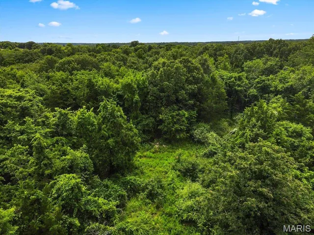 $1,400,000 | 1185 Scheel Lane, Fenton, MO 63026