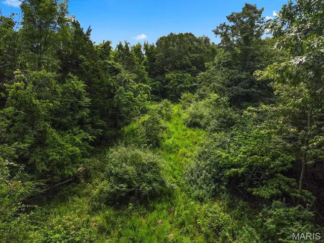 $1,400,000 | 1185 Scheel Lane, Fenton, MO 63026