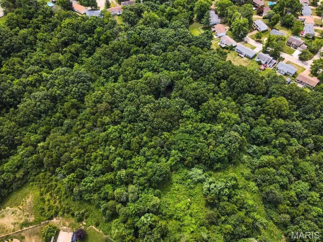 $1,400,000 | 1185 Scheel Lane, Fenton, MO 63026