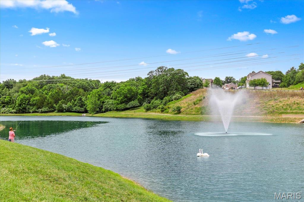 1185 Scheel Lane Fenton, MO 63026 - Photo 19 of 23