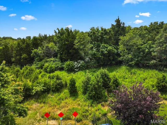 $1,400,000 | 1185 Scheel Lane, Fenton, MO 63026