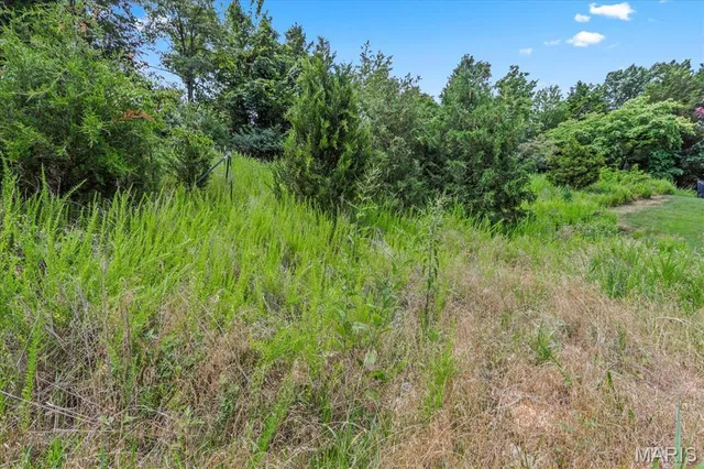 $1,400,000 | 1185 Scheel Lane, Fenton, MO 63026