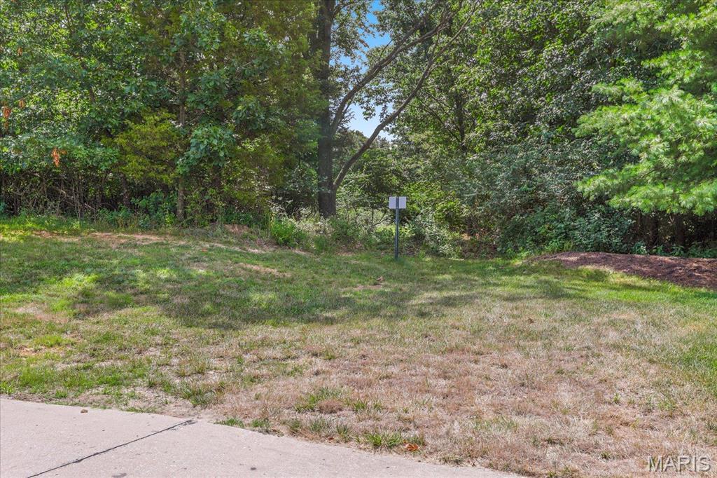 1185 Scheel Lane Fenton, MO 63026 - Photo 4 of 23