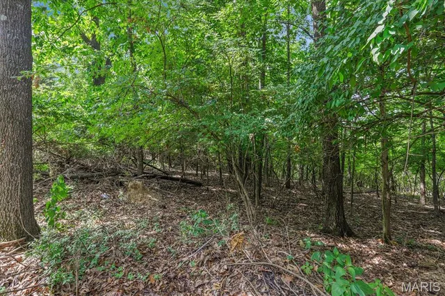 $1,400,000 | 1185 Scheel Lane, Fenton, MO 63026