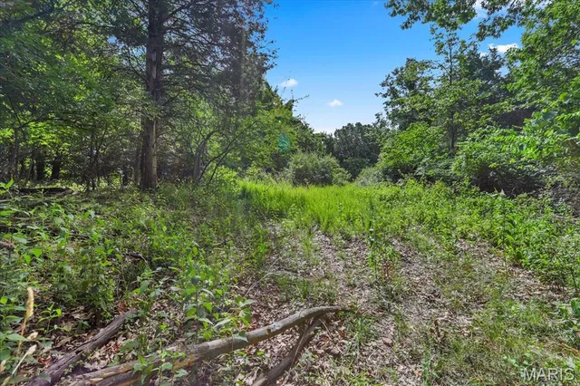 $1,400,000 | 1185 Scheel Lane, Fenton, MO 63026