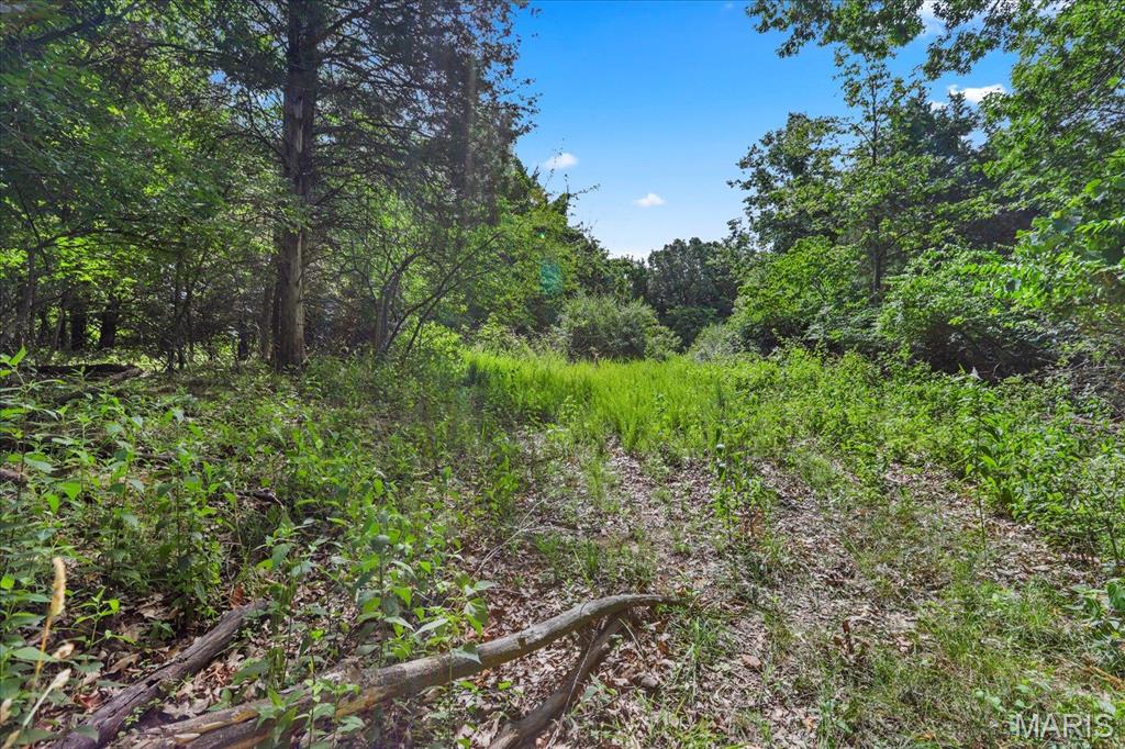 1185 Scheel Lane Fenton, MO 63026 - Photo 6 of 23