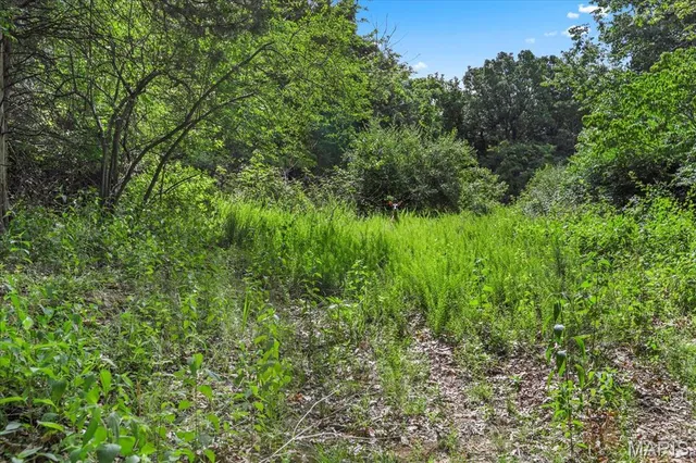 $1,400,000 | 1185 Scheel Lane, Fenton, MO 63026