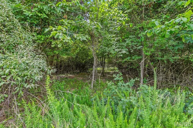 $1,400,000 | 1185 Scheel Lane, Fenton, MO 63026