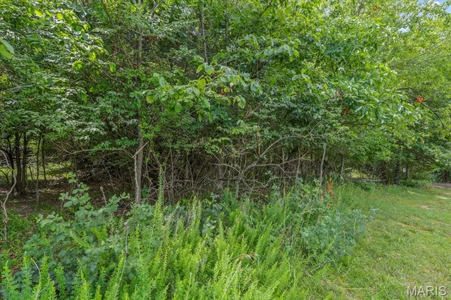 $1,400,000 | 1185 Scheel Lane, Fenton, MO 63026