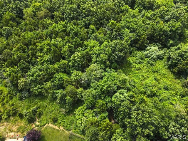 $1,400,000 | 1185 Scheel Lane, Fenton, MO 63026