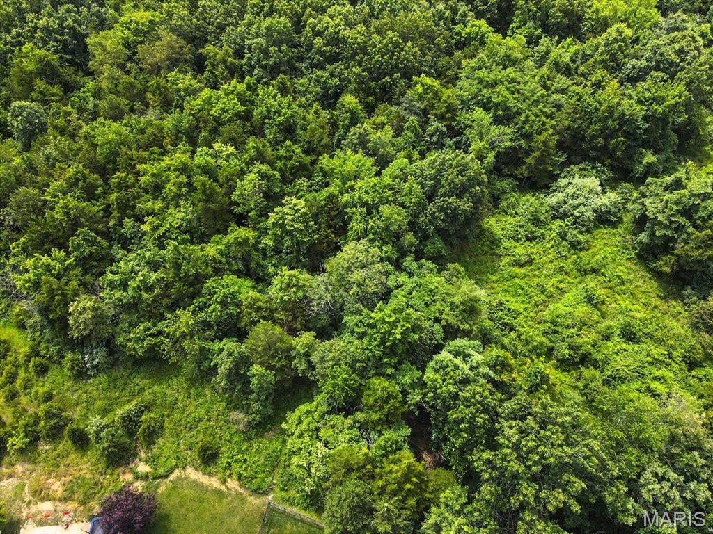 1185 Scheel Lane Fenton, MO 63026 - Photo 10 of 23