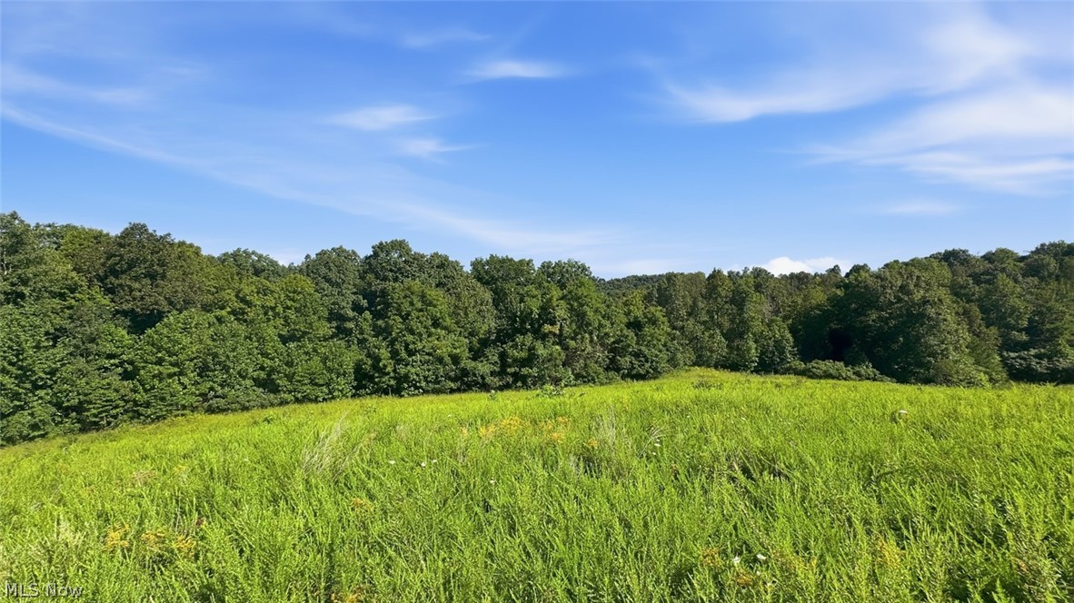 742 Peters Cave Road Patriot, OH 45658 - Photo 49 of 50 Gallery Image 49