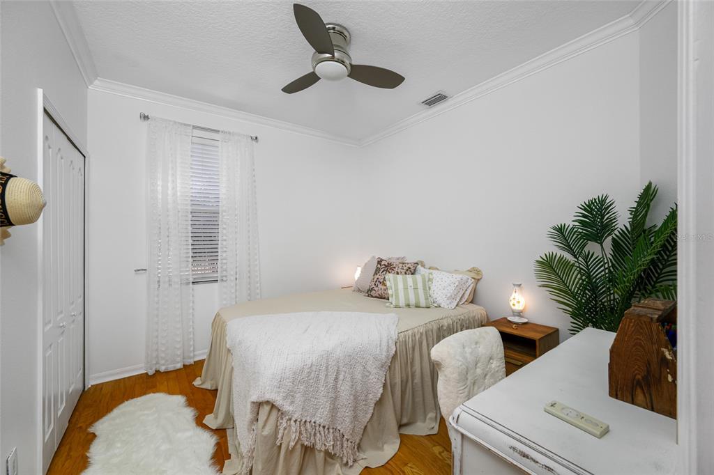 237 7th Avenue North, Unit 2 St. Petersburg, FL 33701 - Photo 29 of 60 a bedroom with a bed and a potted plant