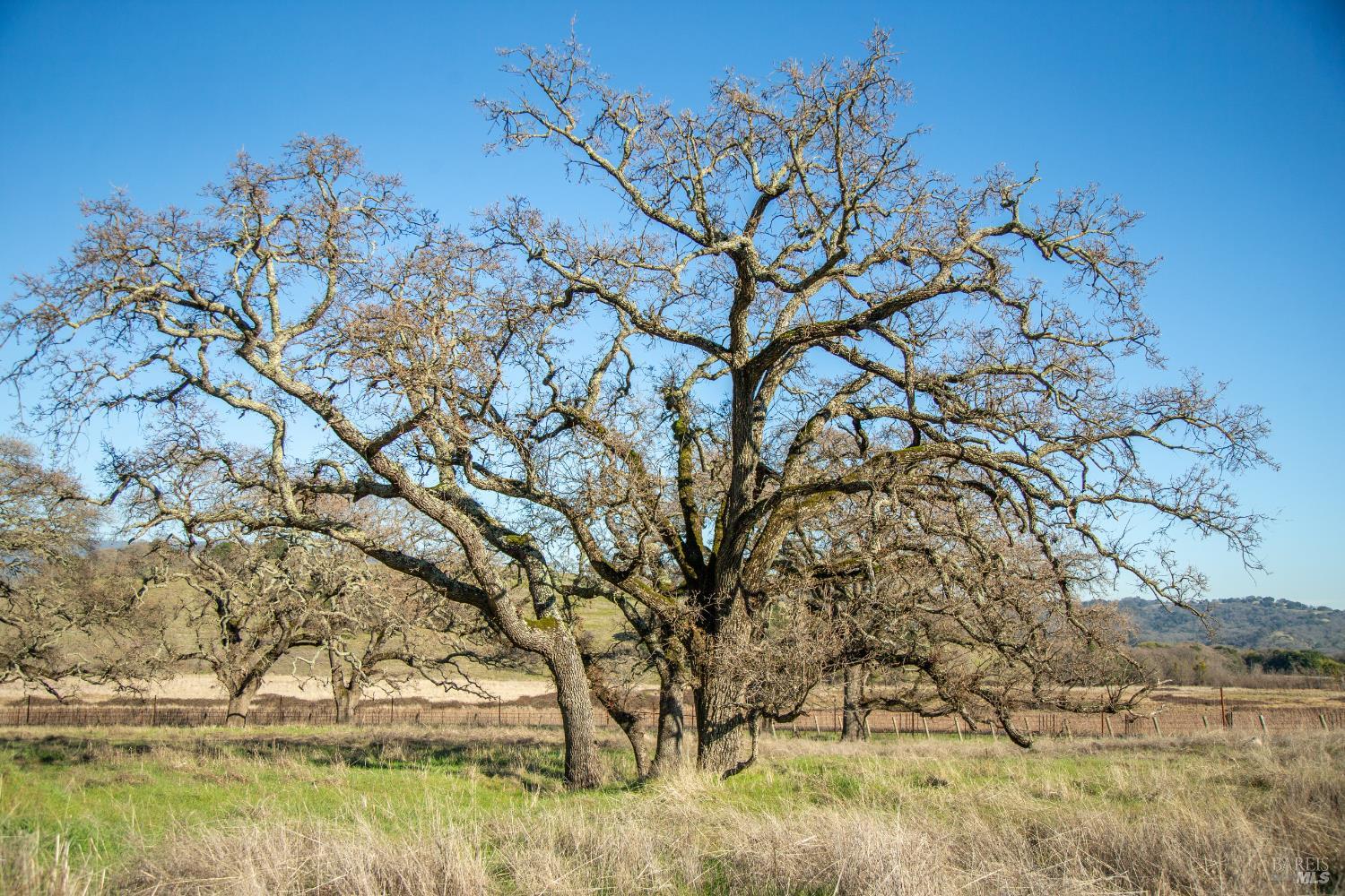 3576 Monticello Road Napa, CA 94558 - Photo 32 of 43