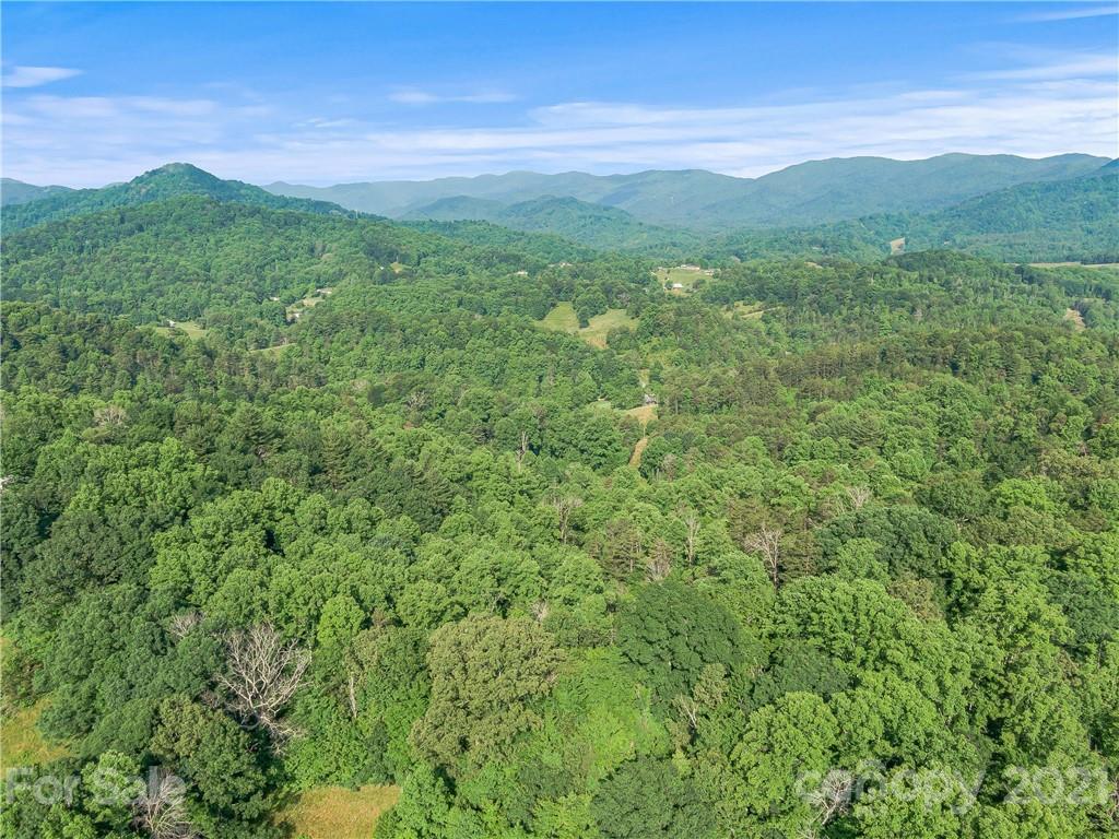79 Mt Airy Road Marshall, NC 28753 - Photo 14 of 32 Gallery Image 14