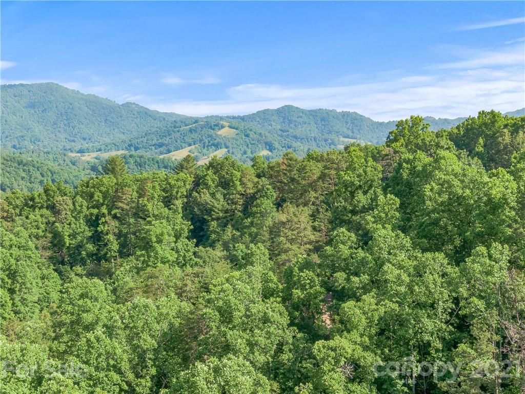 79 Mt Airy Road Marshall, NC 28753 - Photo 3 of 32 Gallery Image 3