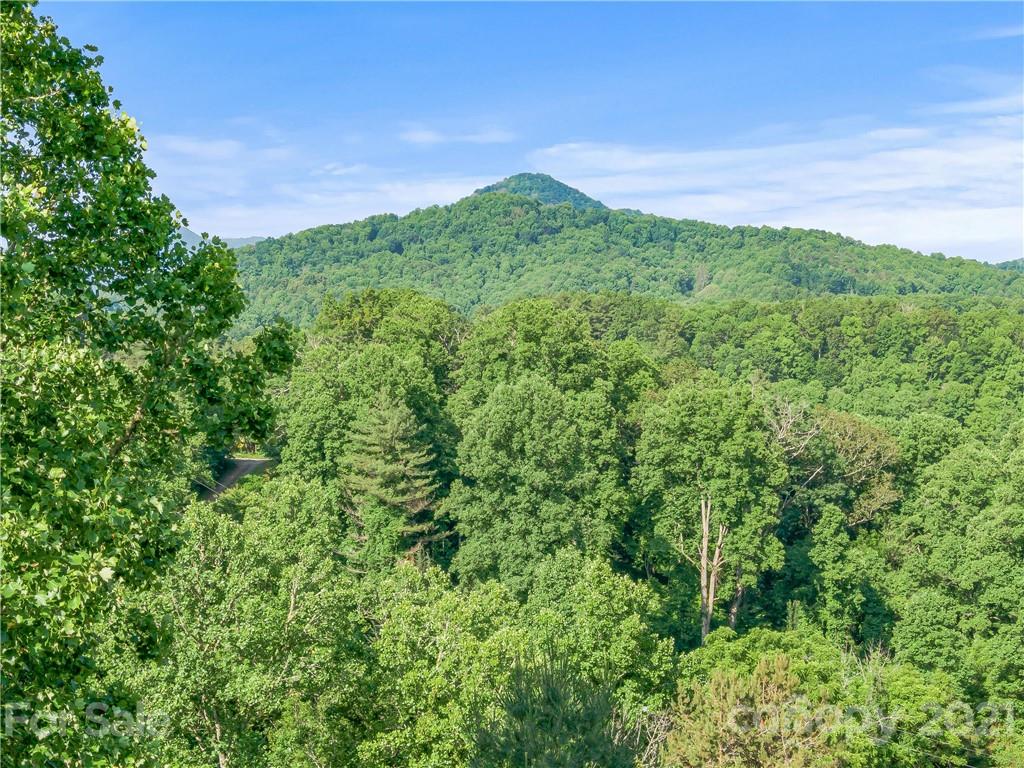 79 Mt Airy Road Marshall, NC 28753 - Photo 22 of 32 Gallery Image 22
