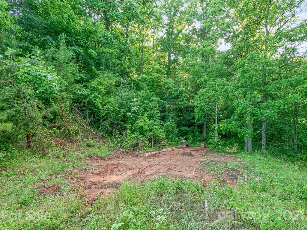 79 Mt Airy Road Marshall, NC 28753 - Photo 8 of 32 Gallery Image 8