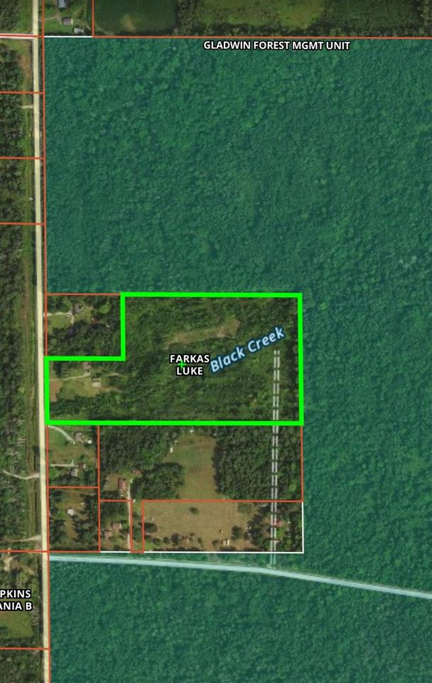 1762 3 Rivers Road Gladwin, MI 48624 - Photo 59 of 61