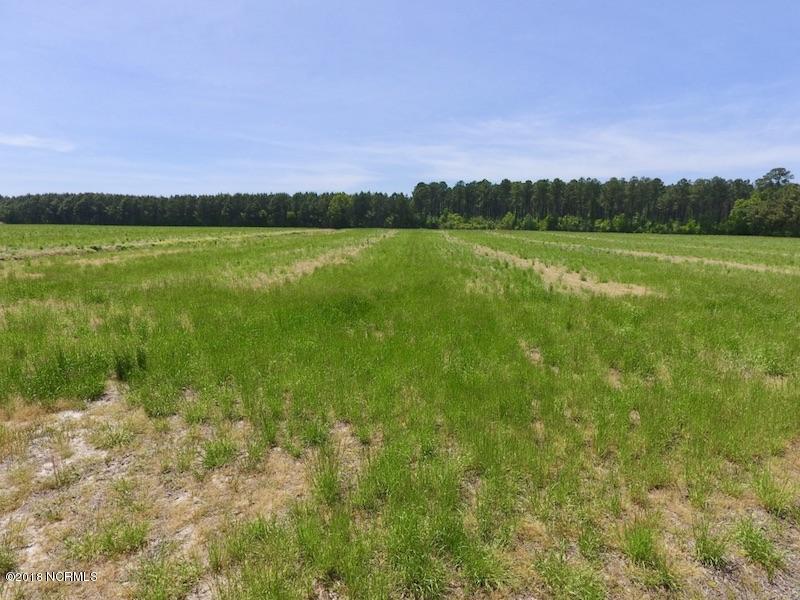 33-ac Tedder Road Lucama, NC 27851 - Photo 11 of 33 10