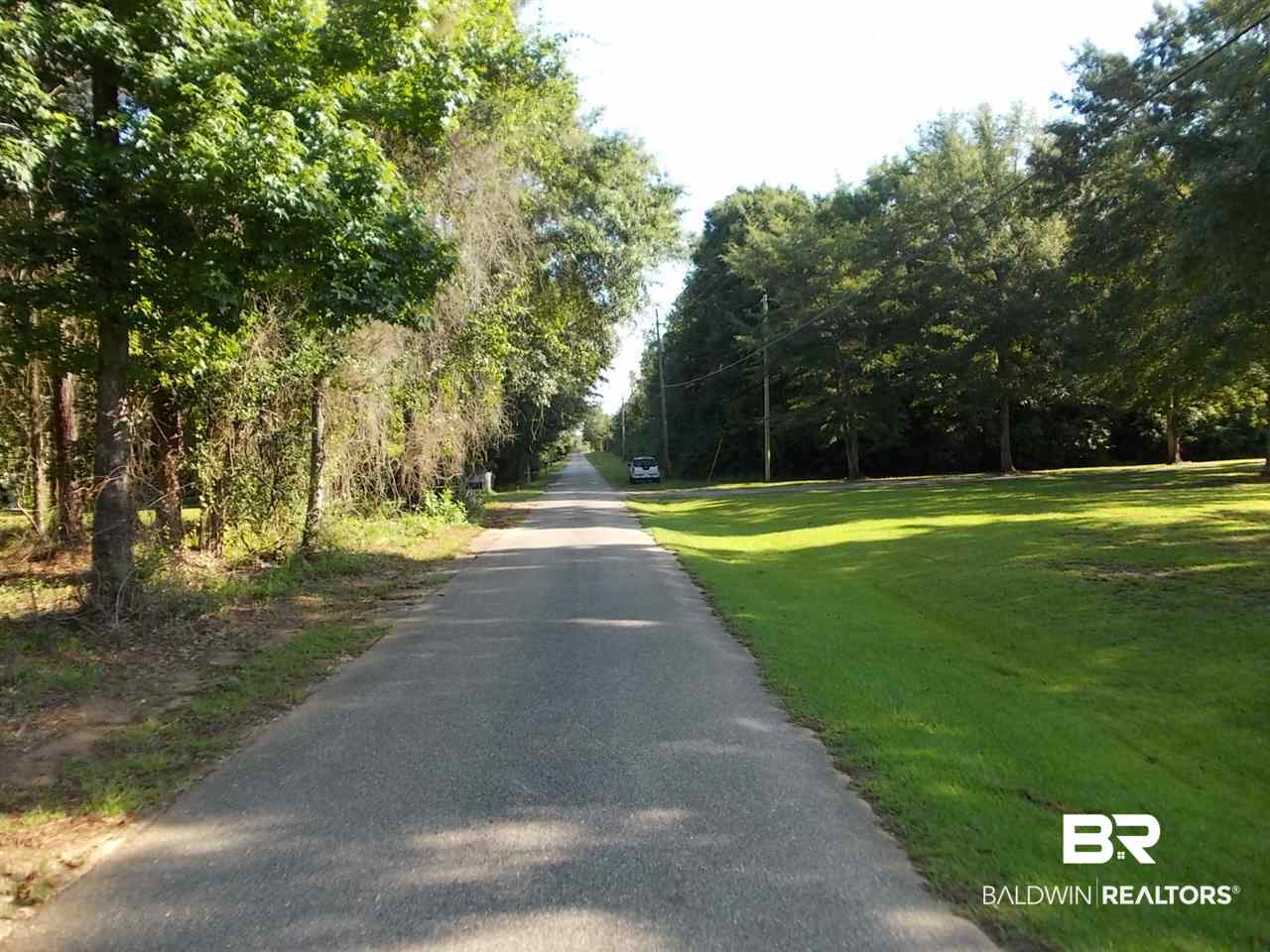0 Ernest Patterson Road Robertsdale, AL 36567 - Photo 5 of 14