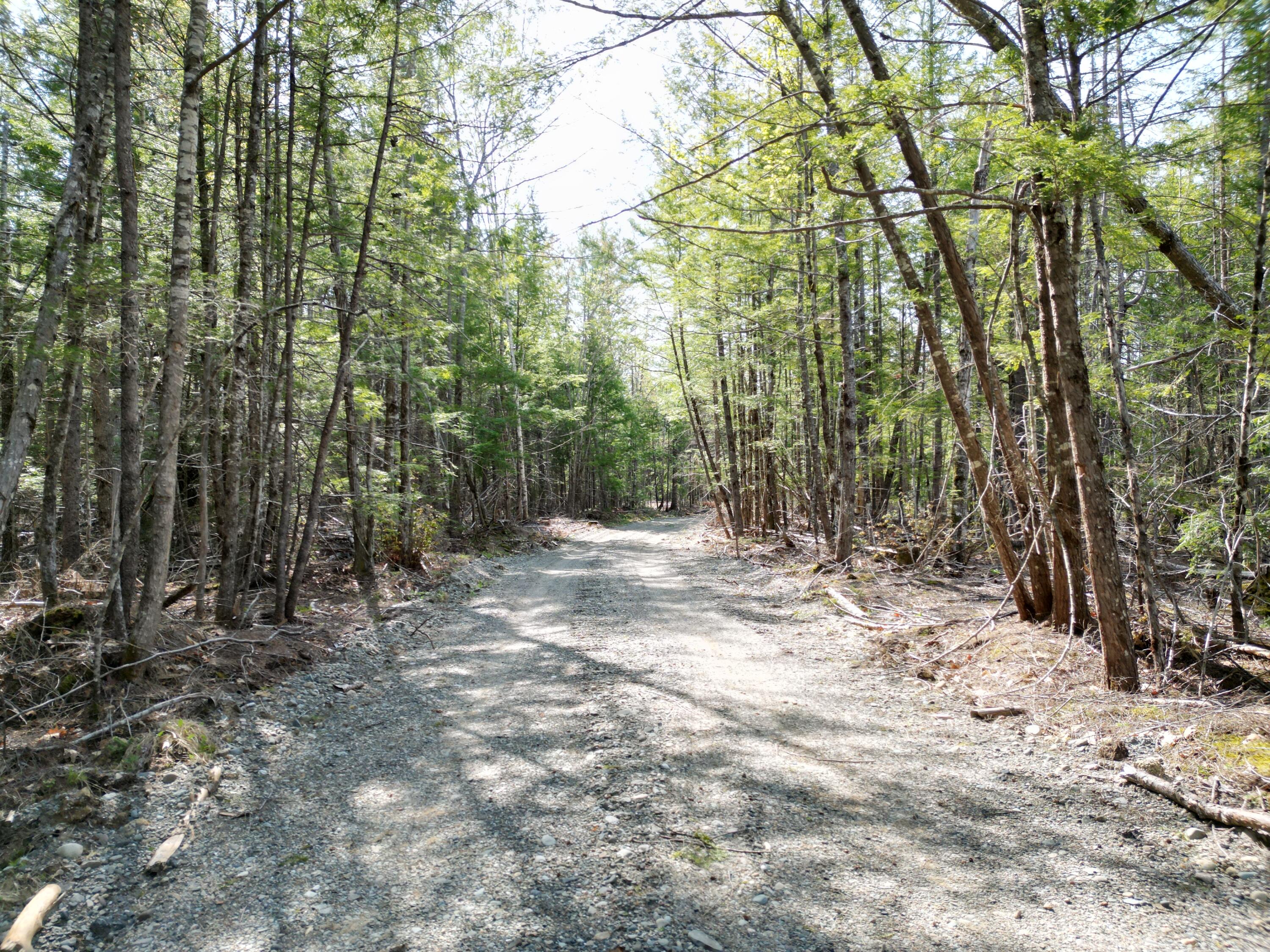 Lot 2 Off Mattamiscontis Road Howland, ME 04448 - Photo 2 of 16 DJI_0525
