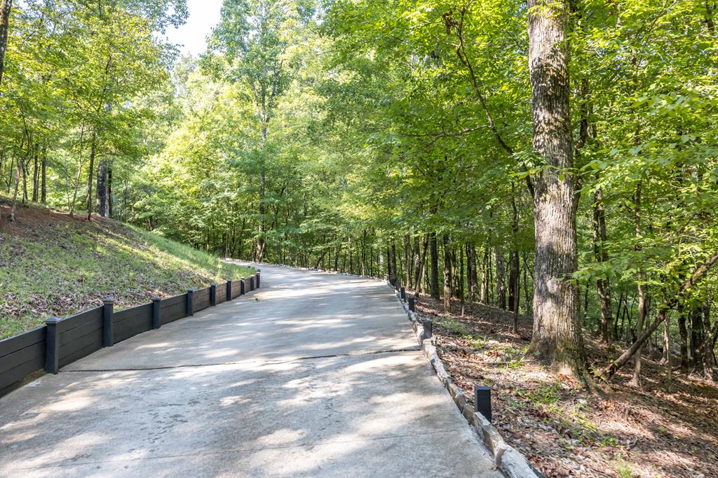 2573 Old River Road Fortson, GA 31808 - Photo 58 of 78 Gallery Image 58