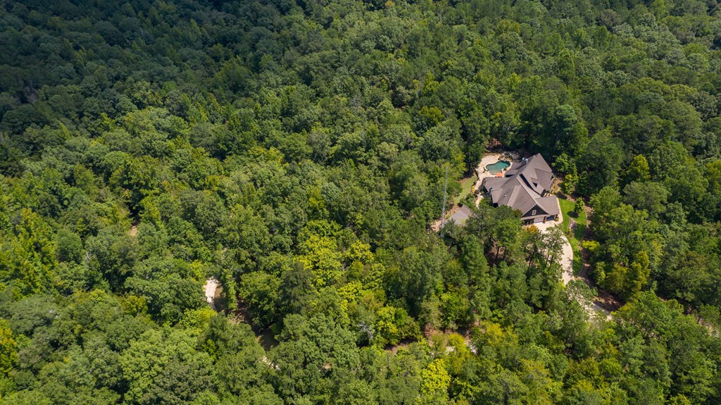 2573 Old River Road Fortson, GA 31808 - Photo 64 of 78 Gallery Image 64