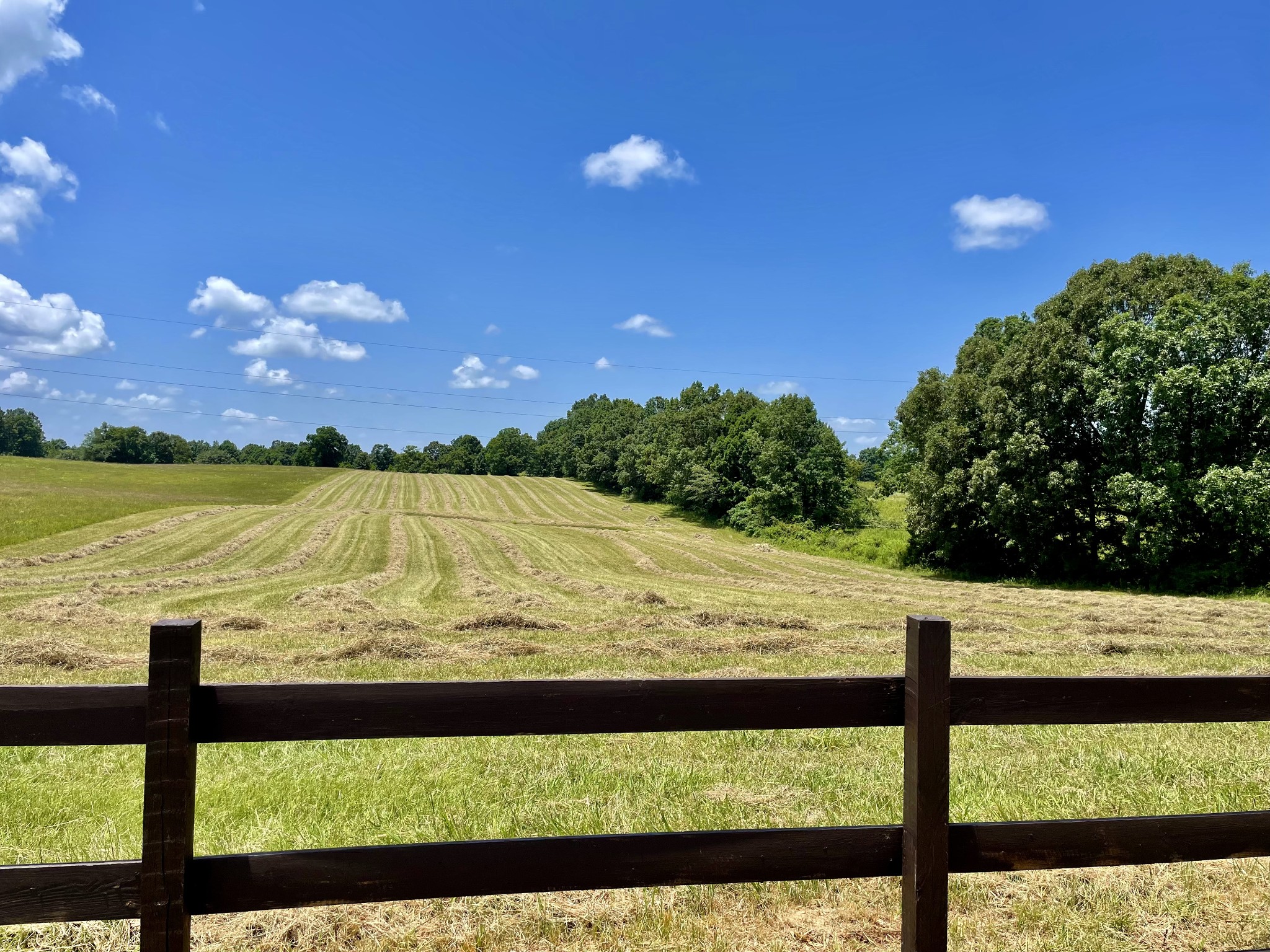 9533 Buttermilk Ridge Road Lawrenceburg, TN 38464 - Photo 32 of 82