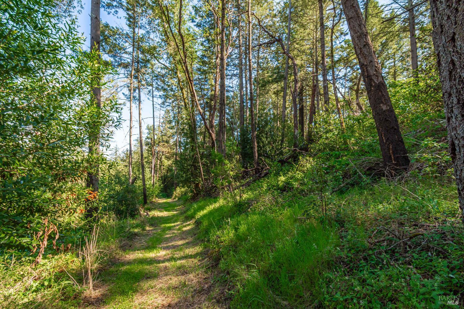 0 Dry Creek Road Napa, CA 94558 - Photo 50 of 98