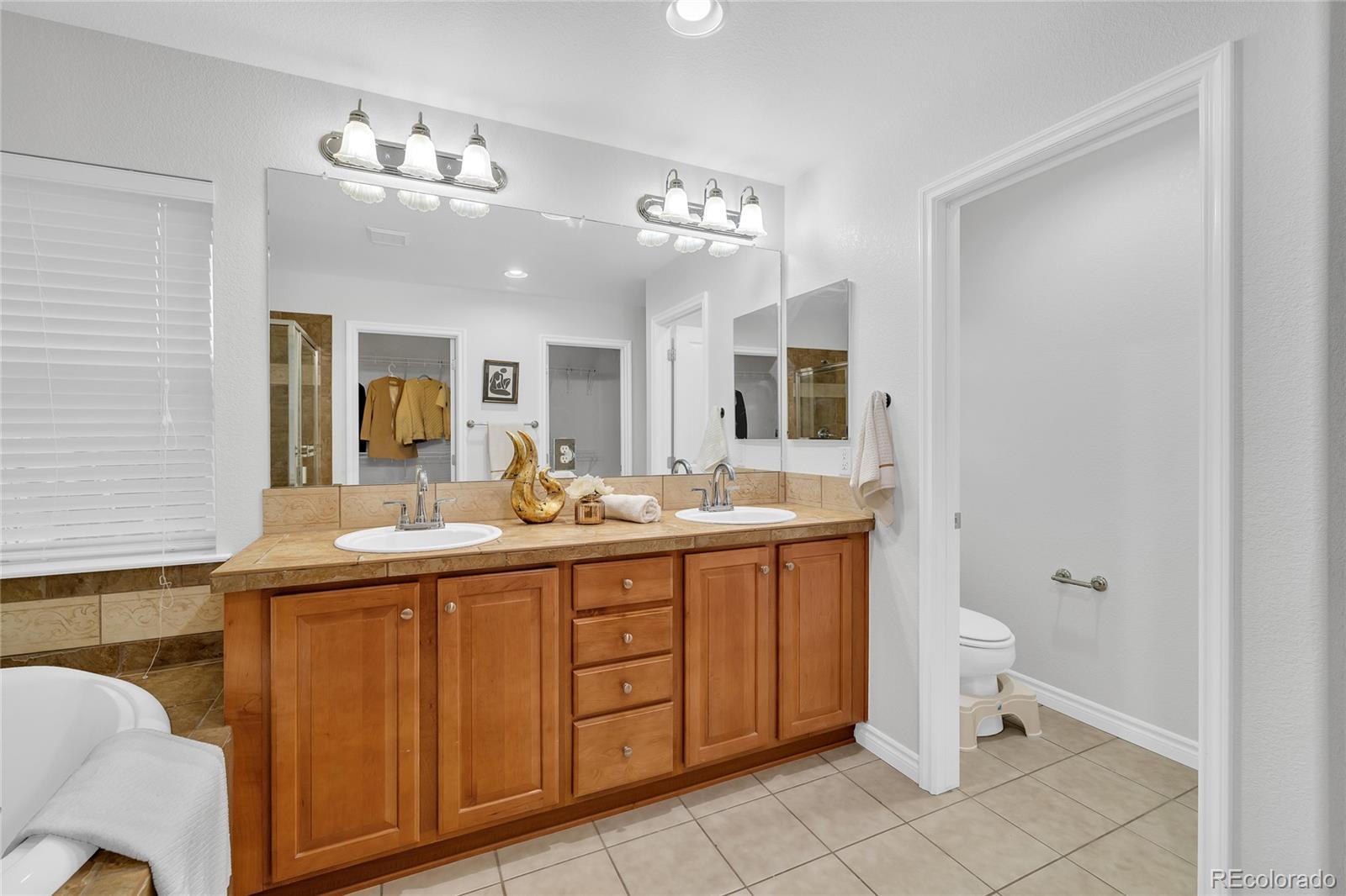 10849 Huntwick Street Highlands Ranch, CO 80130 - Photo 23 of 48