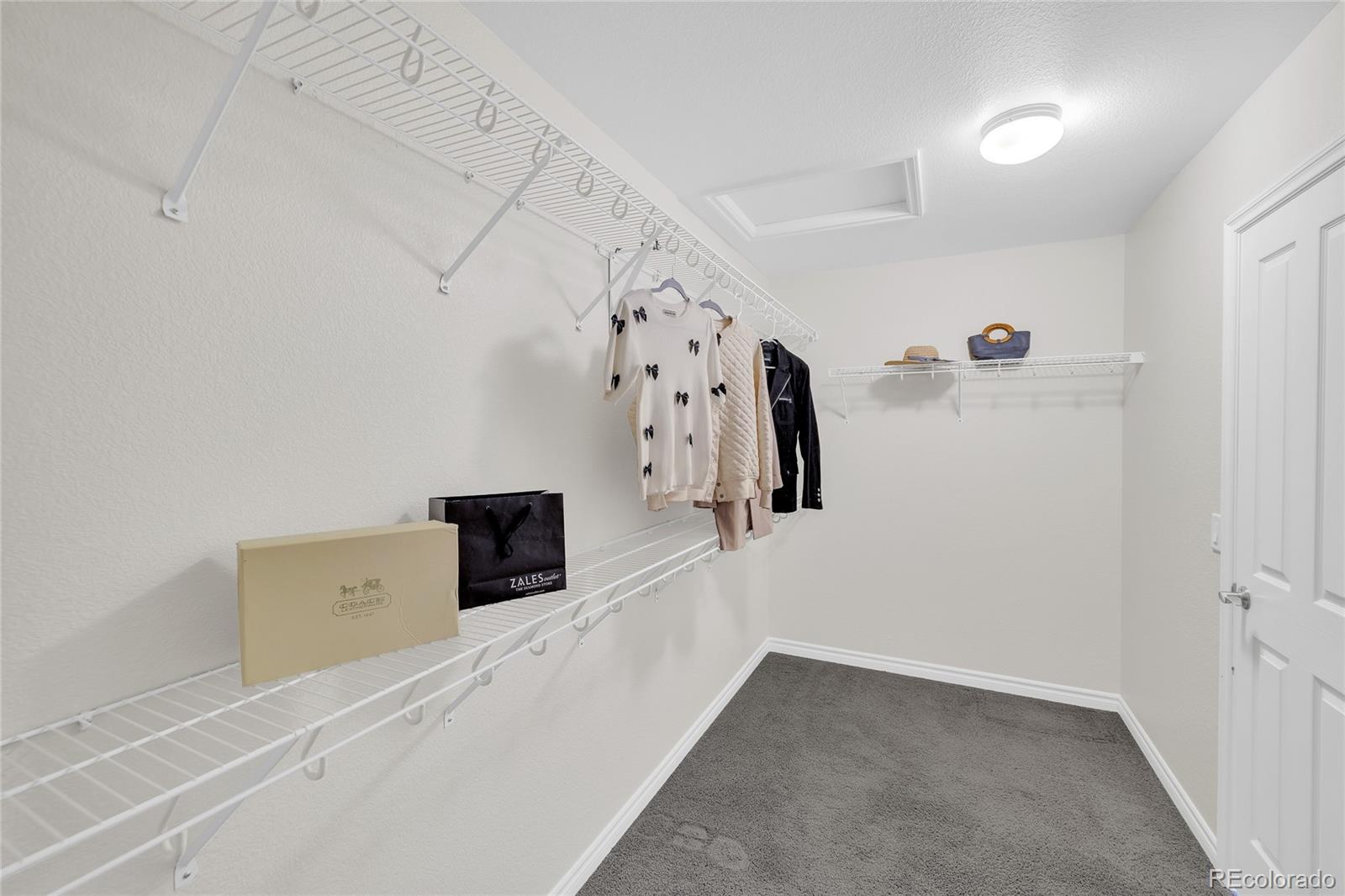 10849 Huntwick Street Highlands Ranch, CO 80130 - Photo 24 of 48