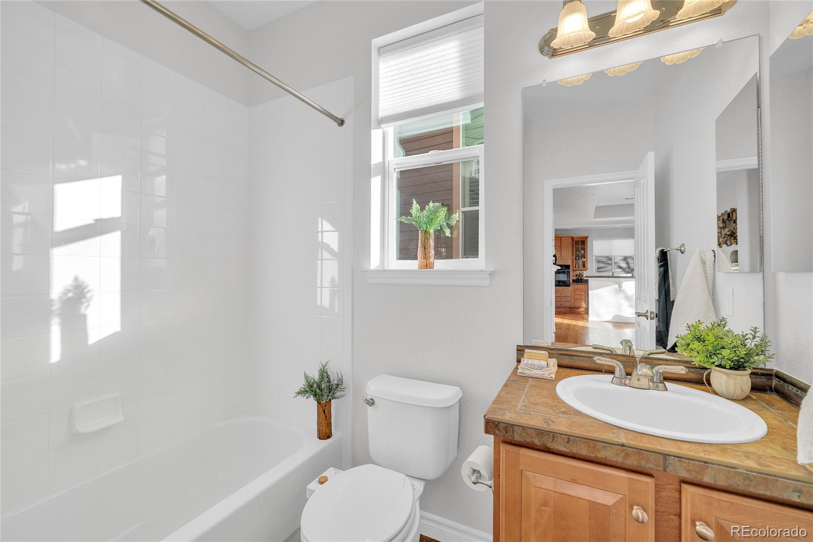 10849 Huntwick Street Highlands Ranch, CO 80130 - Photo 33 of 48