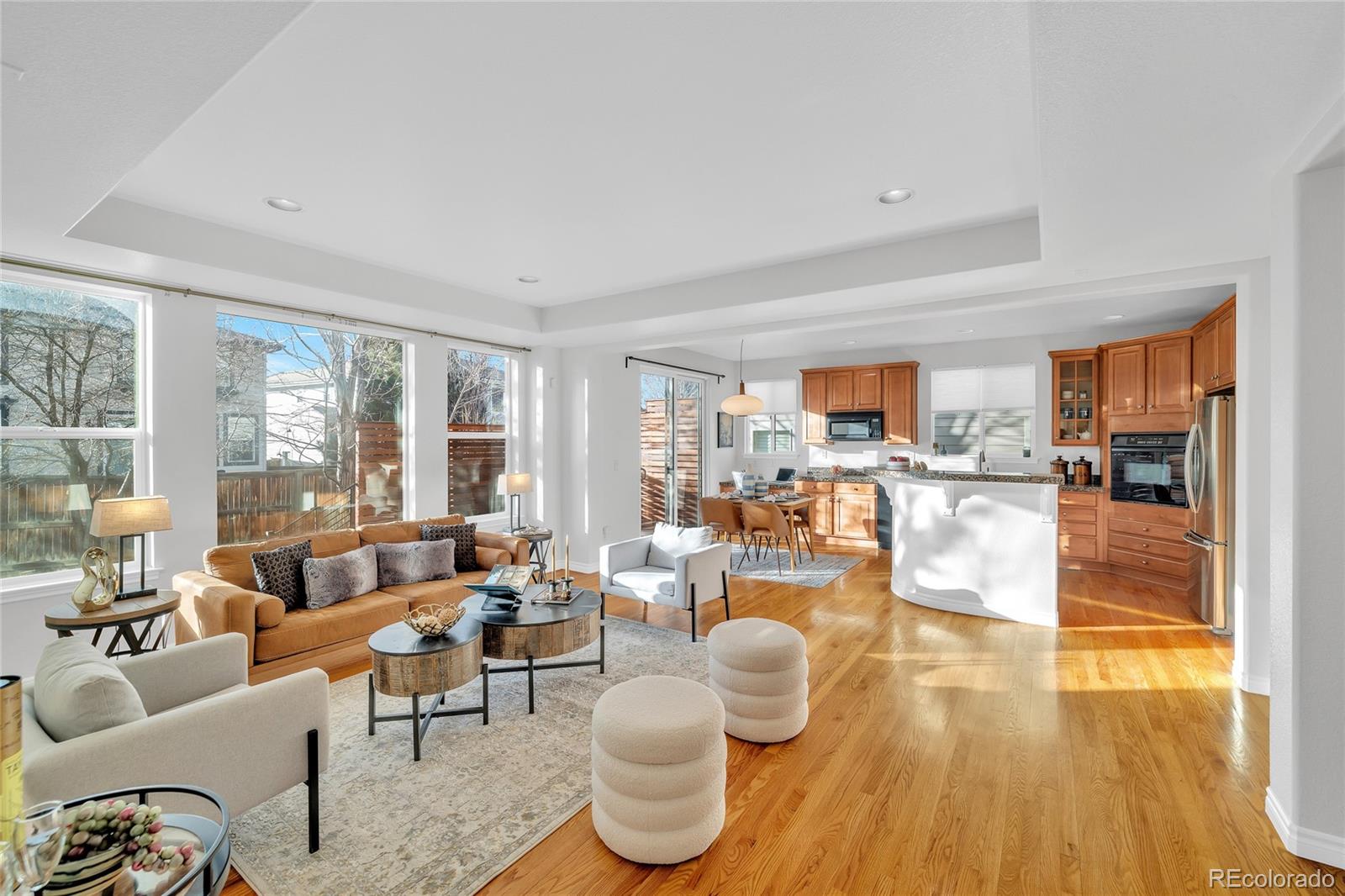 10849 Huntwick Street Highlands Ranch, CO 80130 - Photo 5 of 48