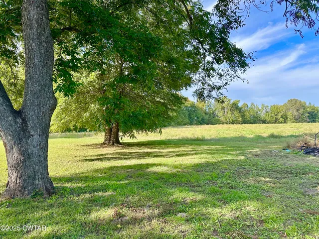 a view of a yard with a large trees