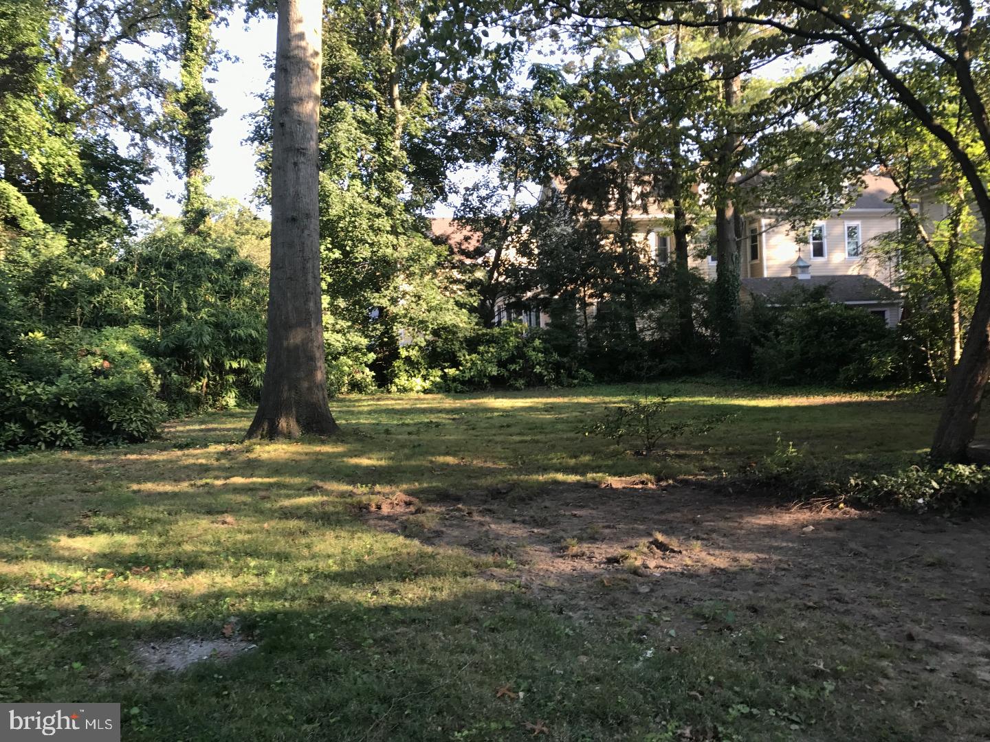 120 West Redman Avenue Haddonfield, NJ 08033 - Photo 22 of 28 Back Yard