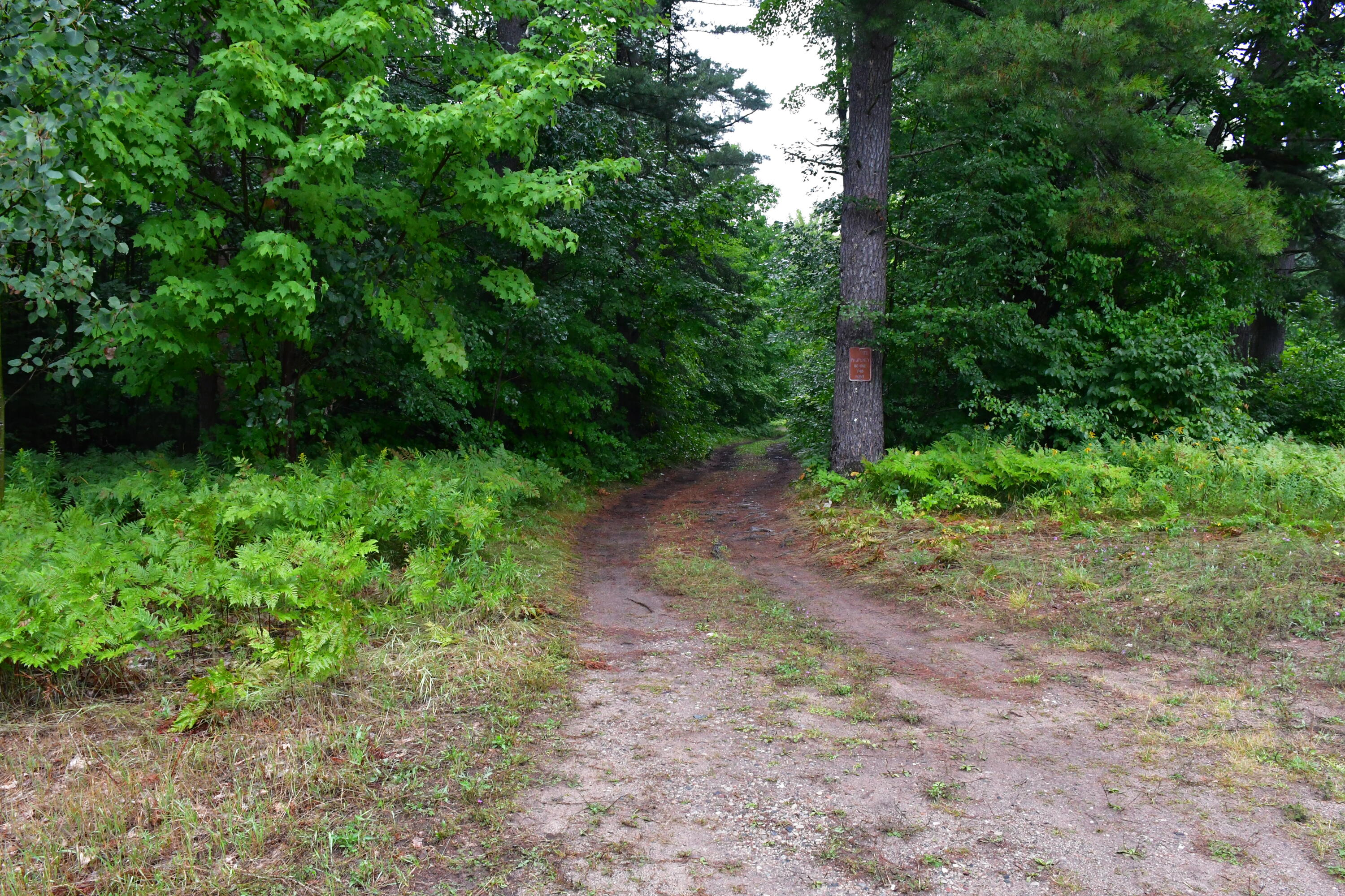 23 East 23 Mile Road Pickford, MI 49774 - Photo 6 of 27 Gallery Image 6