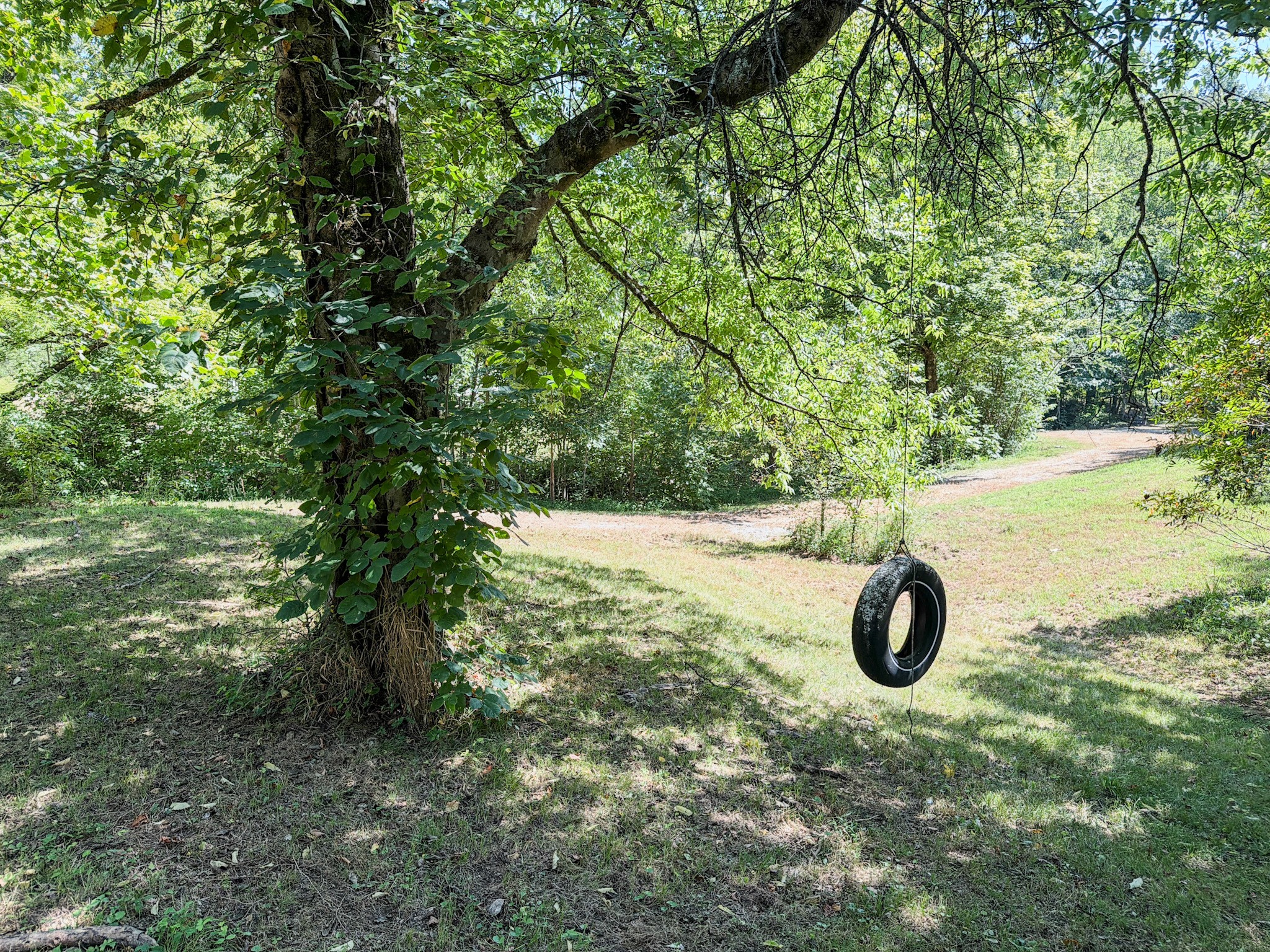 2195 Whiteoak Road East Linden, TN 37096 - Photo 32 of 56 Gallery Image 32